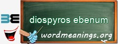 WordMeaning blackboard for diospyros ebenum